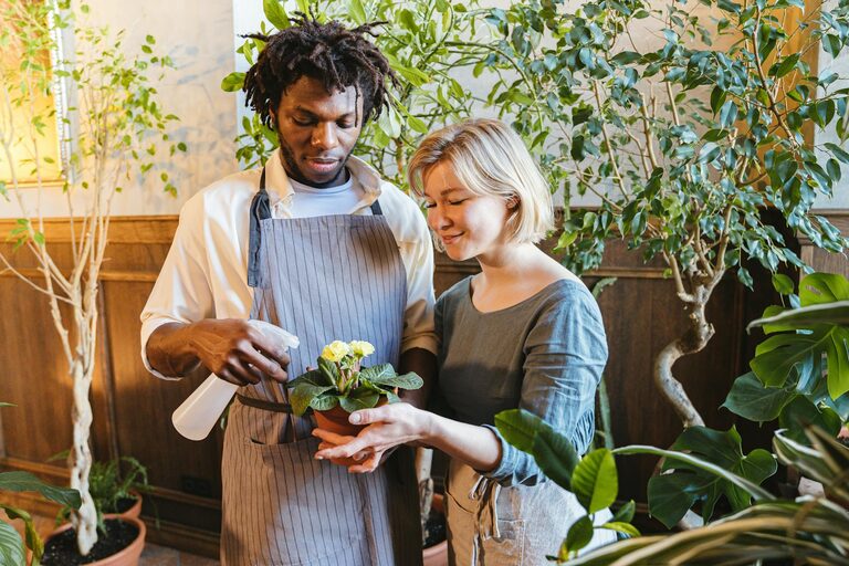 Consejos prácticos para cuidar tus plantas de interior todo el año